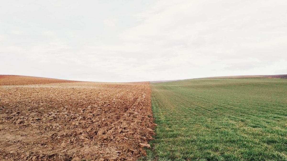 HubSpot vs. Salesforce for Mid-Market Marketing Teams